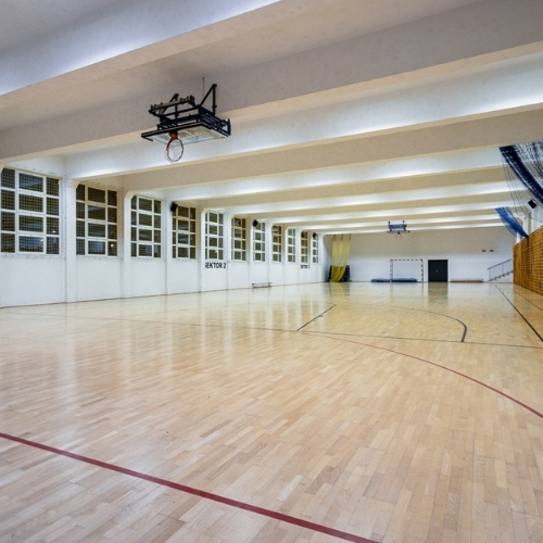 Lokalizacja: Wola SP 388 ul. Deotymy 25/33